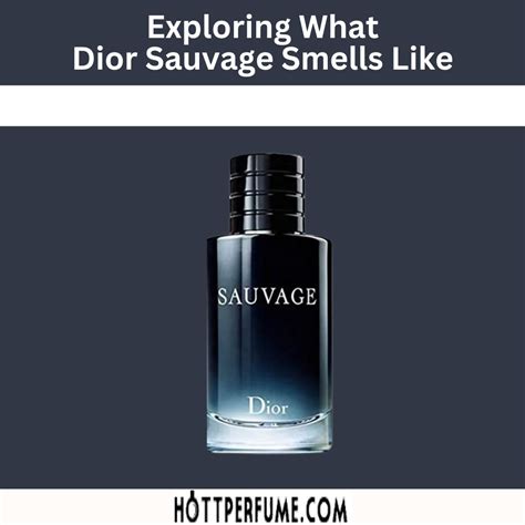 dior souvage donna|what does dior sauvage smell like.